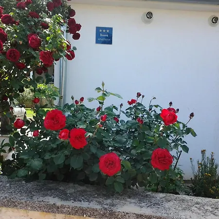 Cerin - Cocaletto Rovinj