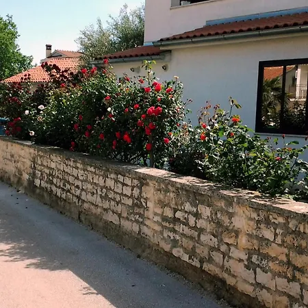 Apartment Cerin - Cocaletto Rovinj